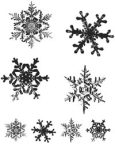 Tim Holtz Cling Rubber Stamp Set