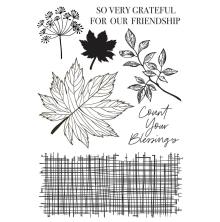 Kaisercraft Clear Stamp 6X4 - Fallen Leaves