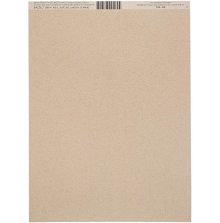 Bazzill Cardstock 8.5X11 25/Pkg Smoothies - Kraft