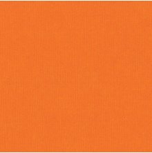 Bazzill Cardstock 12X12 25/Pkg FOURZ - Carrot Cake