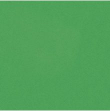 Bazzill Cardstock 12X12 25/Pkg Smoothies - Green Apple