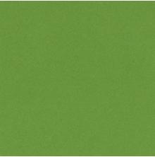 Bazzill Cardstock 12X12 25/Pkg Smoothies - Lime Crush
