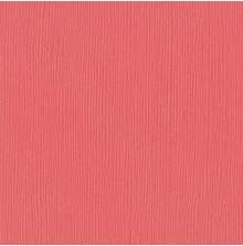 Bazzill Cardstock 12X12 25/Pkg FOURZ - Passionate