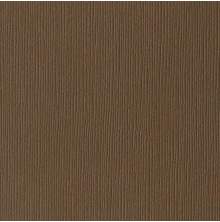 Bazzill Cardstock 12X12 25/Pkg FOURZ - Carob