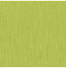 Bazzill Cardstock 12X12 25/Pkg FOURZ - Granny Smith