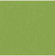 Bazzill Cardstock 12X12 25/Pkg FOURZ - Intense Kiwi