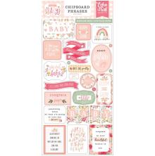 Echo Park Welcome Baby Girl Chipboard 6X13 - Phrases