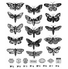 Tim Holtz Cling Stamps 7X8.5 - Moth Study CMS436