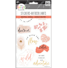 Me &amp; My Big Ideas Stickers 5 Sheets - Neutral Jungle