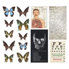 Tim Holtz Idea-Ology Transparencies 14/Pkg - Halloween 2021