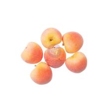 Prima Charms 6/Pkg - Peach Tea By Frank Garcia