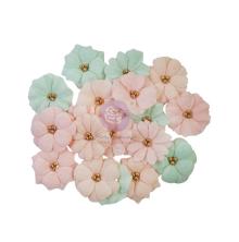 Prima Miel Flowers 12/Pkg - Suenos Dulces