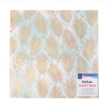 Vicki Boutin Specialty Paper 12X12 - Sweet Rush