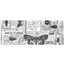 Tim Holtz Idea-Ology Collage Paper 6X6yds - Entomology