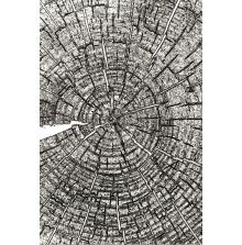 Tim Holtz Sizzix 3-D Texture Fades Embossing Folder - Tree Rings