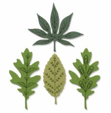 Sizzix Thinlits Die Set - Decorative Leaves