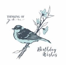 Sizzix Layered Clear Stamps Set - Summer Bird 665907