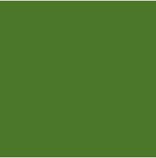 Bazzill Cardstock 12X12 25/Pkg MONO - Green Maze