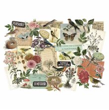 Tim Holtz Idea-Ology Layers Die-Cuts 45/Pkg - Organic TH94316