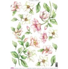 Sospeso Trasparente Tissue Paper A4 5/Pkg - Magnolia