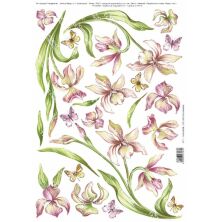 Sospeso Trasparente Tissue Paper A4 5/Pkg - Orchidee