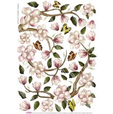 Sospeso Trasparente Printed Paper 35x50cm - Magnolia