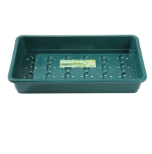 Garland Products Standard Seed Tray With Holes - Green