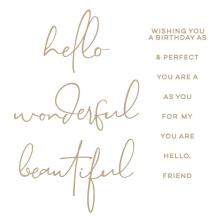 Spellbinders Hot Foil Plate - Hello, Friend Sentiments