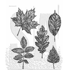 Tim Holtz Cling Stamps 7X8.5 - Sketchy Leaves CMS467