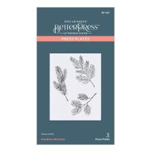 Spellbinders BetterPress Plates - Evergreen Branches