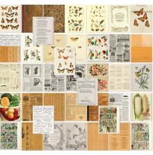 49 And Market Collage Sheets 6x8 - Color Swatch Peach