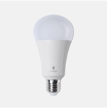 Daylight 15w LED Bulb E27