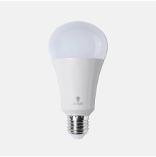 Daylight 19w LED Bulb E27