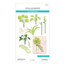 Spellbinders Dies - Propagated Plants