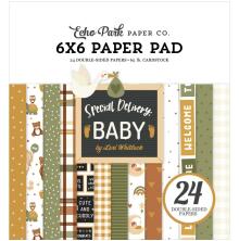 Echo Park Double-Sided Paper Pad 6X6 - Special Delivery Baby
