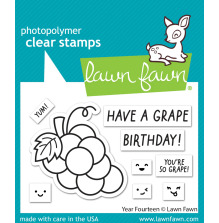 Lawn Fawn Clear Stamps 3X2 - Year Fourteen LF3425