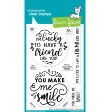 Lawn Fawn Clear Stamps 4X6 - Give It a Whirl Messages: Friends LF3421