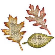 Tim Holtz Sizzix Bigz Die - Tattered Leaves