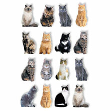 Paper House Pop Up Stickers - Cats