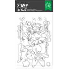 Hero Arts Stamp &amp; Die Set - Apple Branch