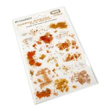 49 And Market Essential Textblends Rub-Ons 6X8 2/Pkg - Citrus