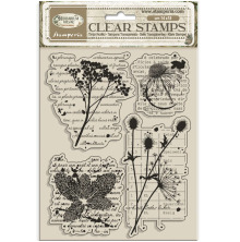 Stamperia Clear Stamp - Herbarium Silvae Botanic