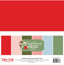 Echo Park Solids Collection Kit 12X12 - Strawberry Fields