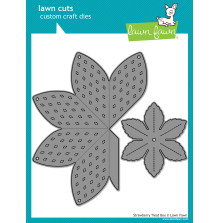Lawn Fawn Dies - Strawberry Treat Box LF4136