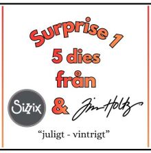 Surprise 1 - 5st Dies fr�n Sizzix &amp; Tim Holtz Juligt-Vintrigt