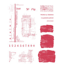 Sizzix Clear Stamps Set by 49 and Market - Wings &amp; Things 667183