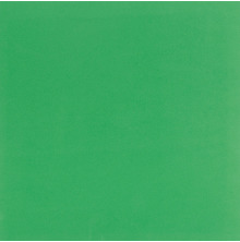 Bazzill Self Adhesive Foam Sheet 12X12 - Green UTGÅENDE