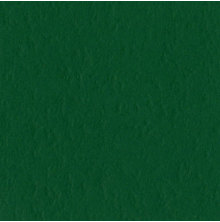 Bazzill Cardstock 12X12 25/Pkg MONO - Classic Green