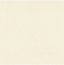 Bazzill Cardstock 12X12 25/Pkg - Criss Cross Cream Puff