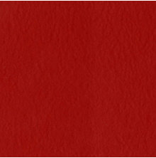 Bazzill Cardstock 12X12 25/Pkg FOURZ - Classic Red